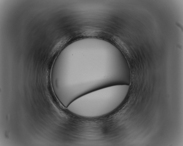 X0000097750586200803070844