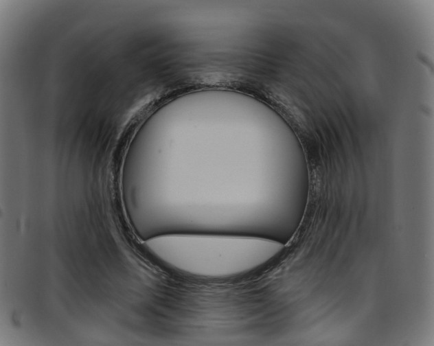 X0000097750587200803070844