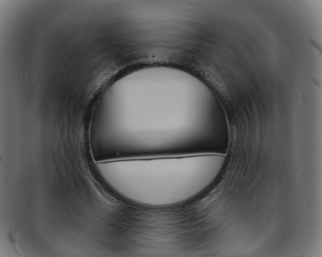 X0000097750588200803070844