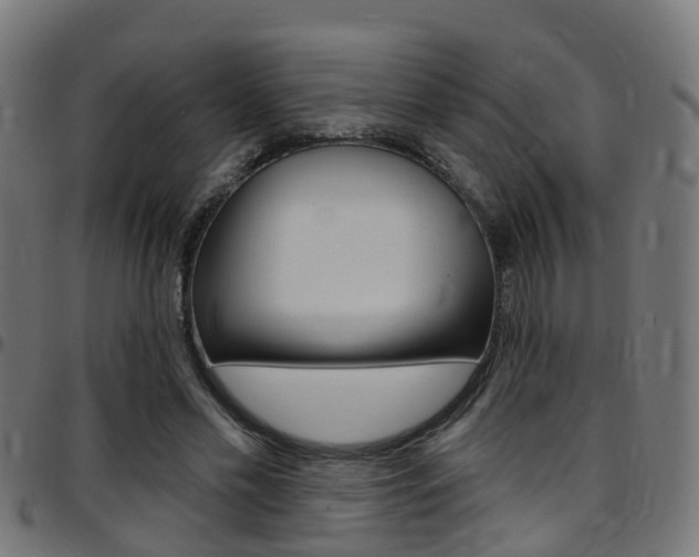 X0000097750589200803070844