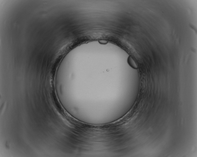 X0000097750590200803070844