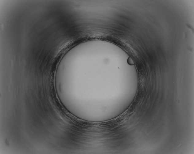 X0000097750591200803070844