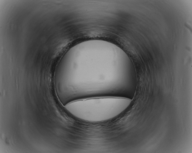 X0000097750592200803070844