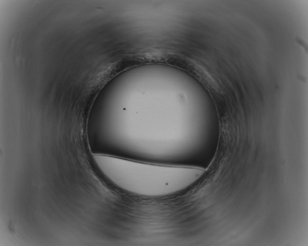 X0000097750593200803070844