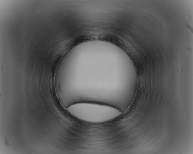 X0000097750594200803070844