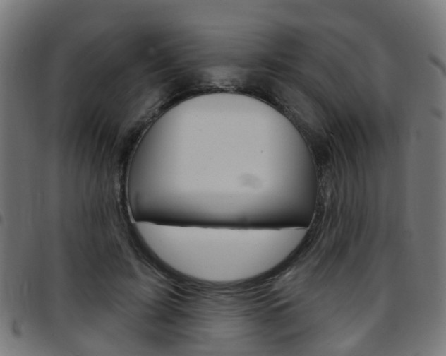 X0000097750595200803070844