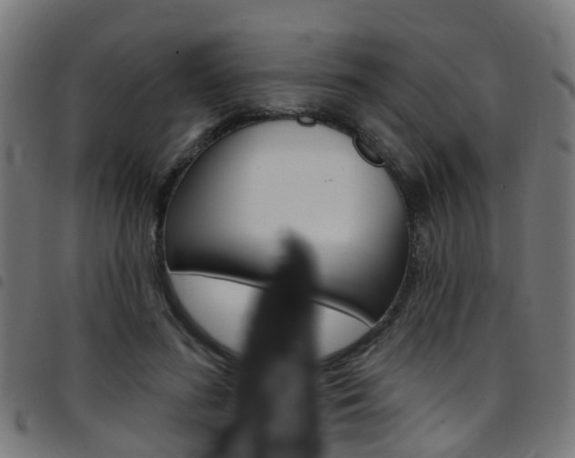 X0000097750596200803070844