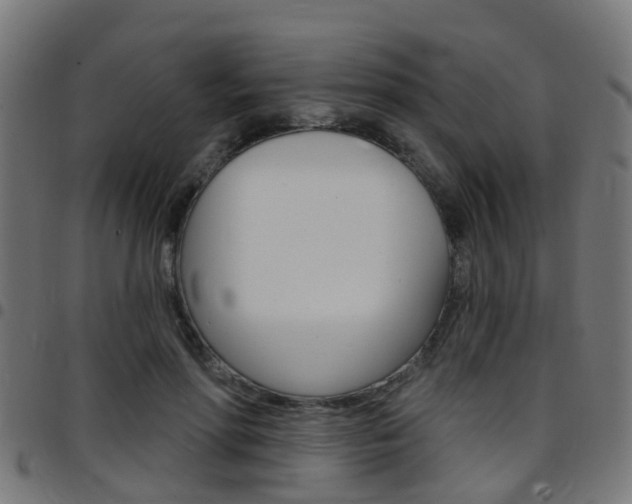 X0000097750598200803070844