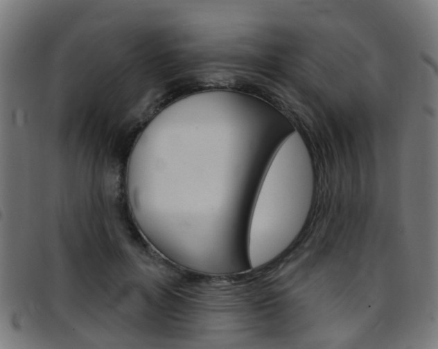 X0000097750600200803070844