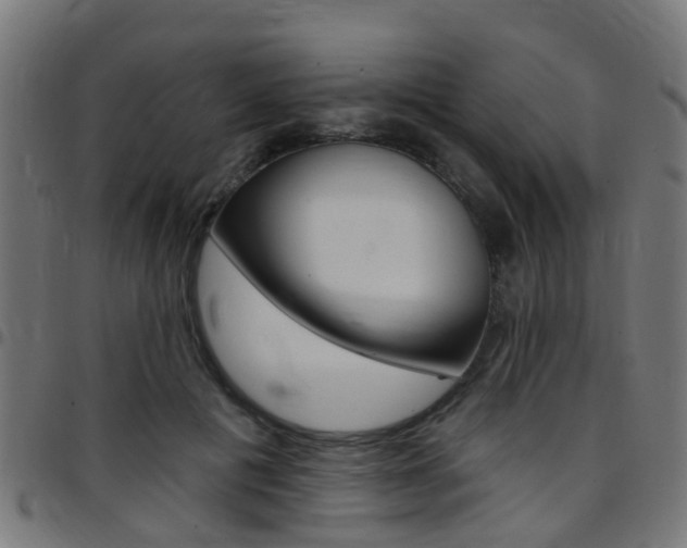 X0000097750601200803070844