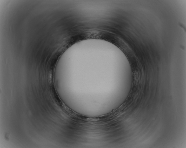 X0000097750602200803070844
