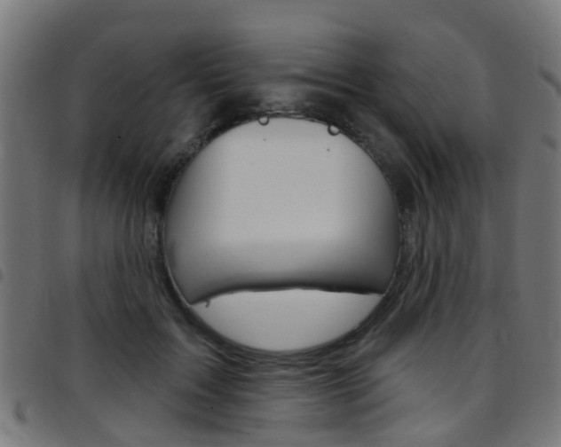 X0000097750603200803070844