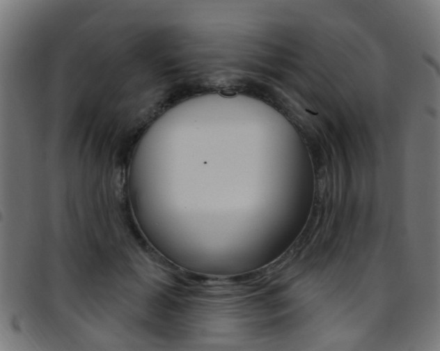 X0000097750605200803070844