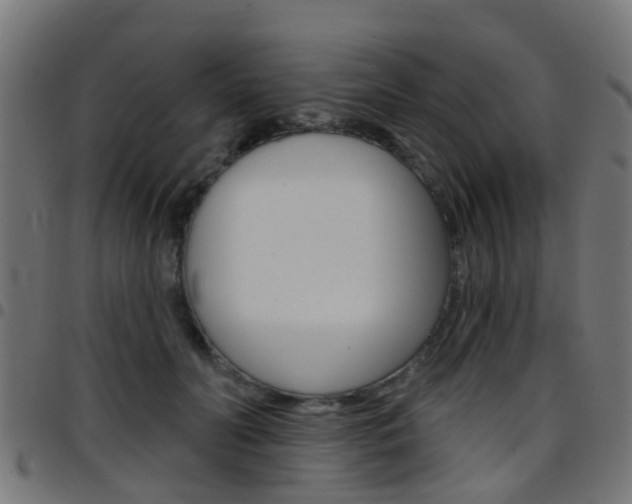 X0000097750606200803070844