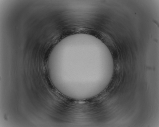 X0000097750607200803070844