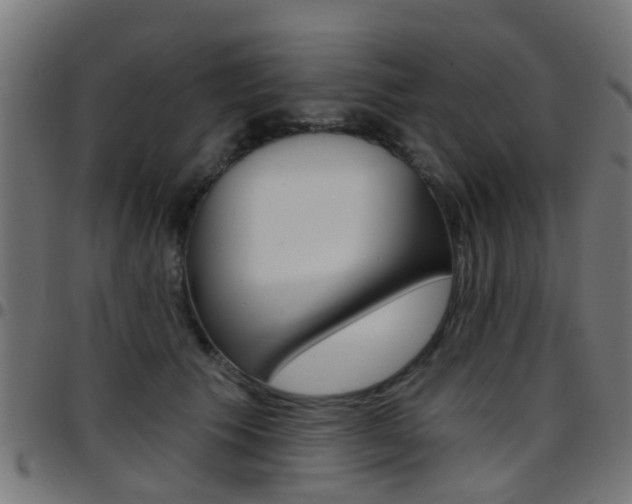 X0000097750609200803070844