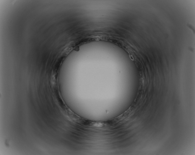 X0000097750611200803070844