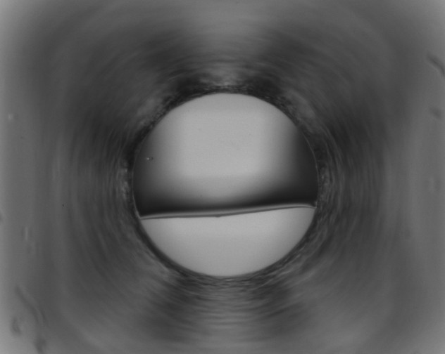 X0000097750612200803070844