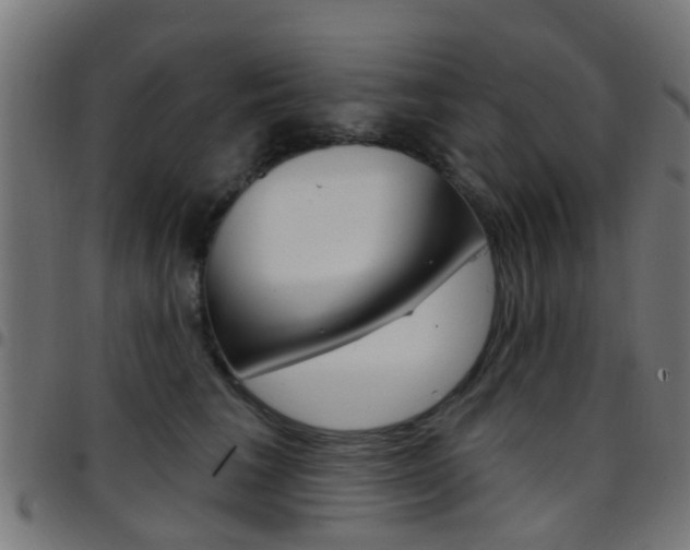 X0000097750613200803070844