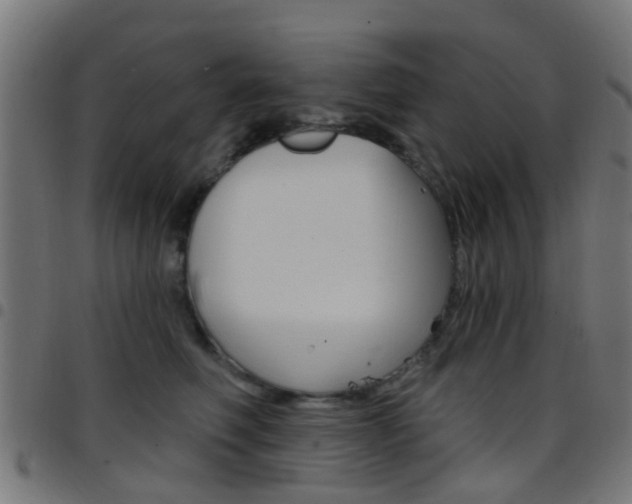 X0000097750614200803070844