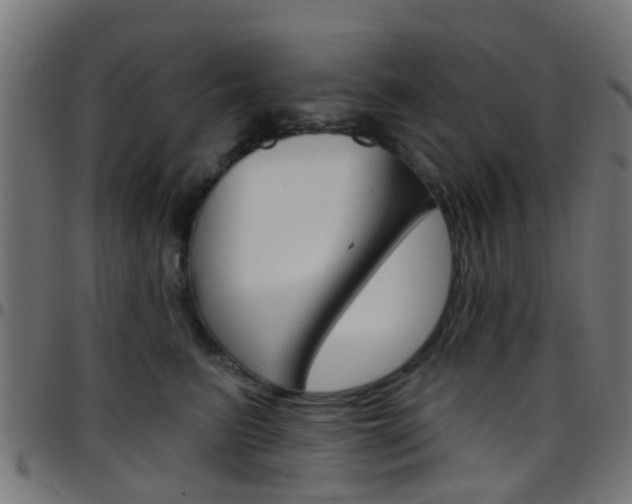 X0000097750615200803070844