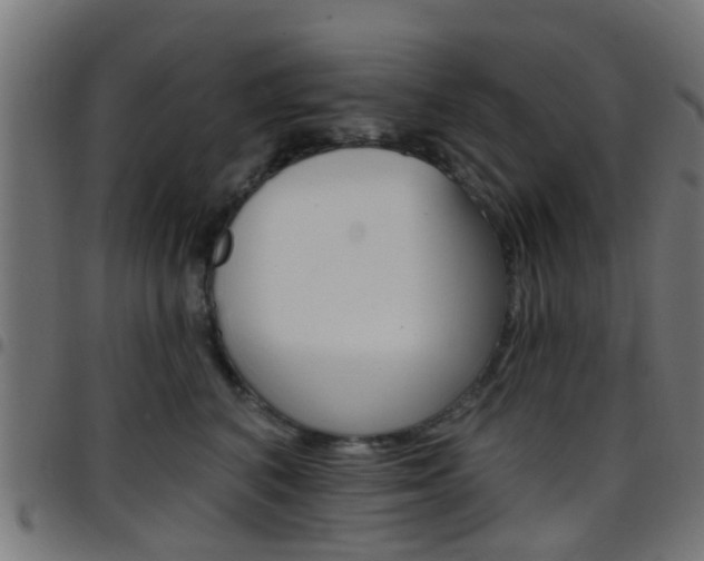 X0000097750616200803070844
