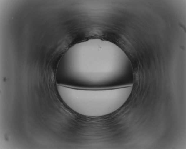 X0000097750617200803070844