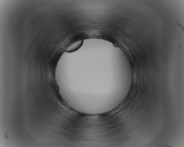 X0000097750618200803070843