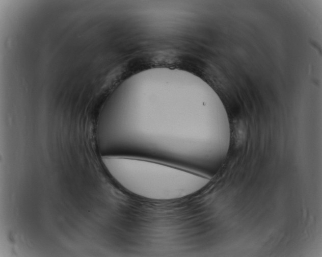 X0000097750619200803070843