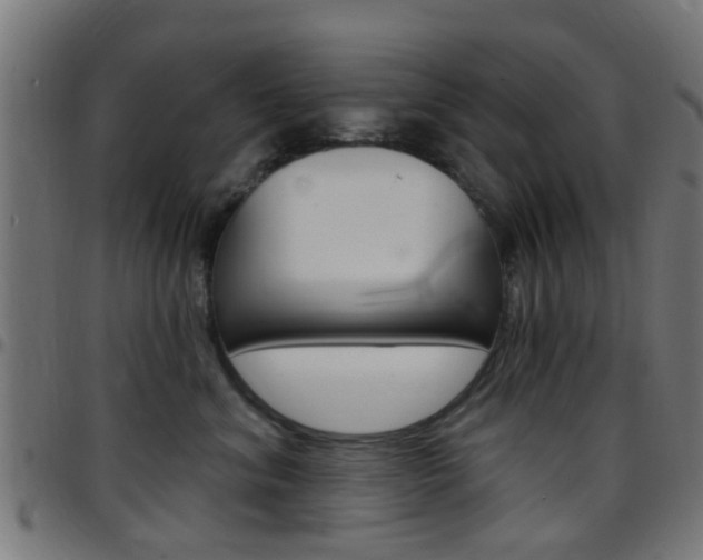 X0000097750620200803070843