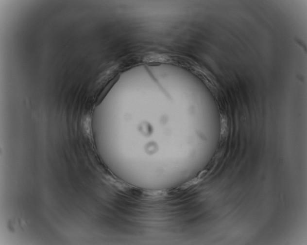 X0000097750621200803070843