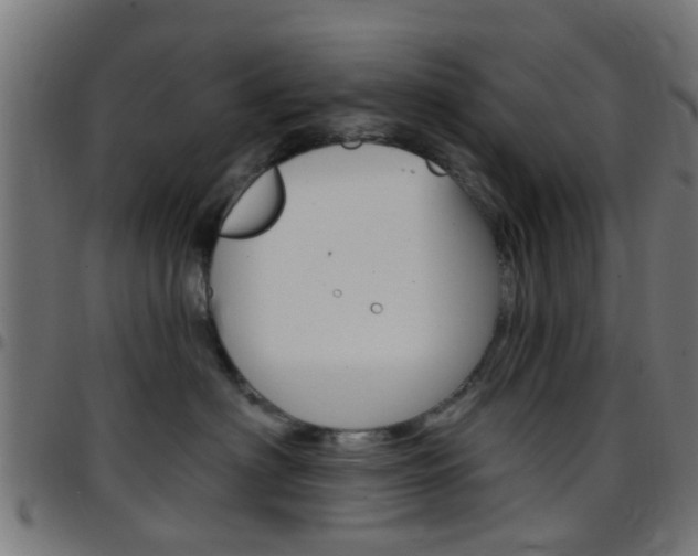 X0000097750622200803070843