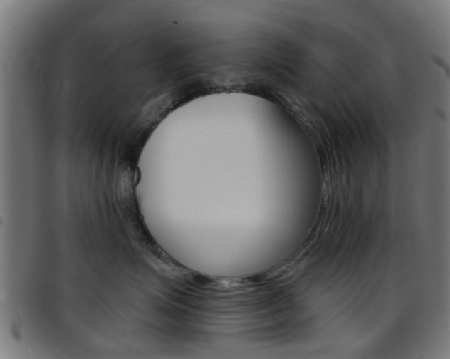 X0000097750623200803070843