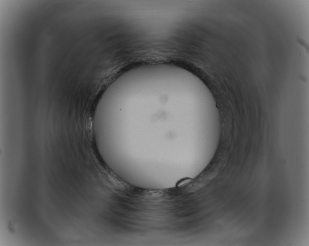 X0000097750624200803070843