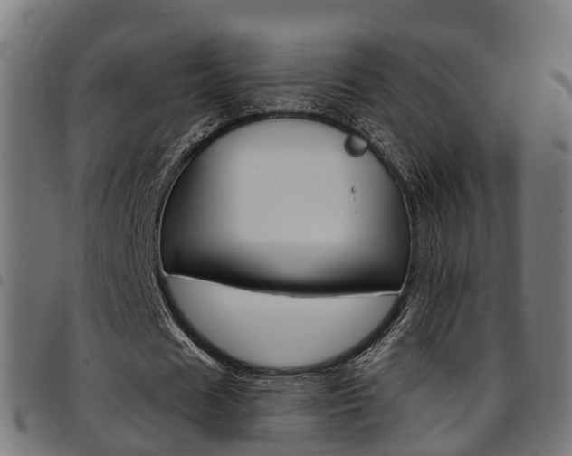 X0000097750625200803070843