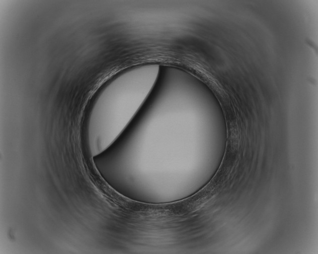 X0000097750626200803070843