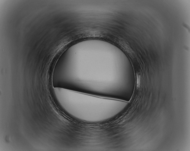 X0000097750627200803070843