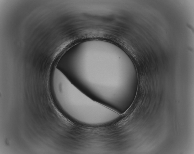 X0000097750629200803070843