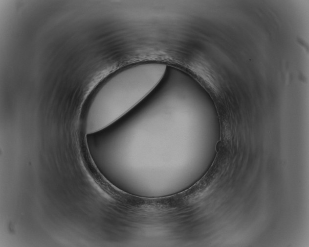 X0000097750630200803070843