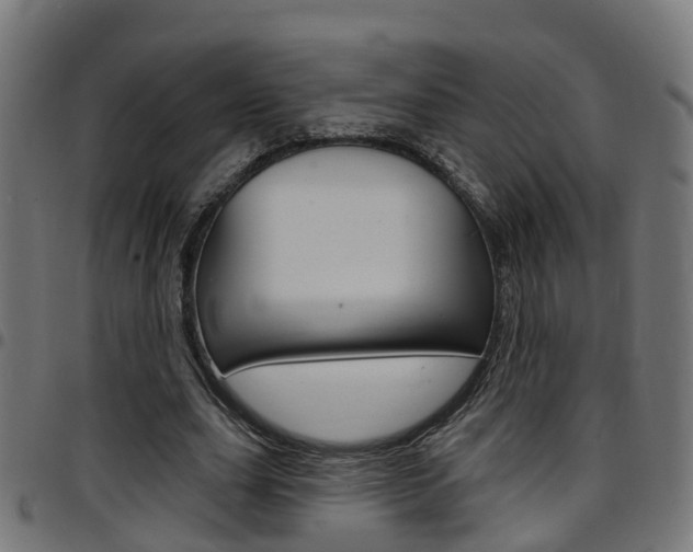 X0000097750631200803070843