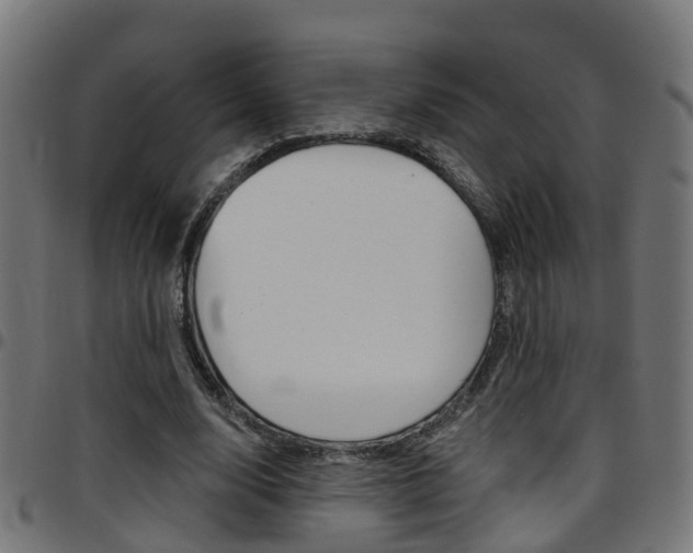 X0000097750632200803070843
