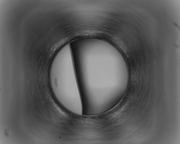 X0000097750633200803070843
