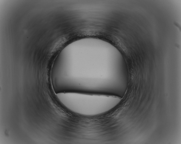 X0000097750635200803070843