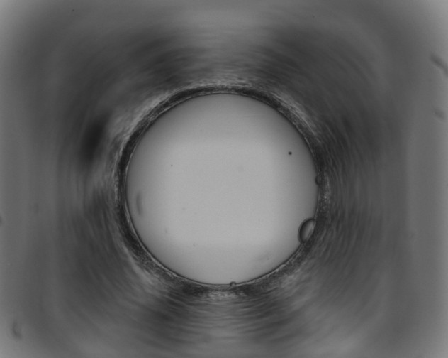 X0000097750636200803070843