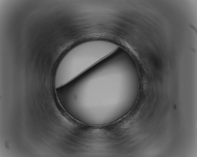 X0000097750637200803070843