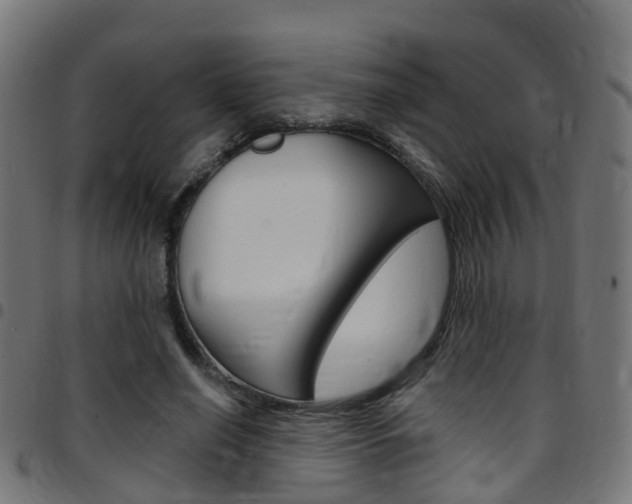 X0000097750638200803070843