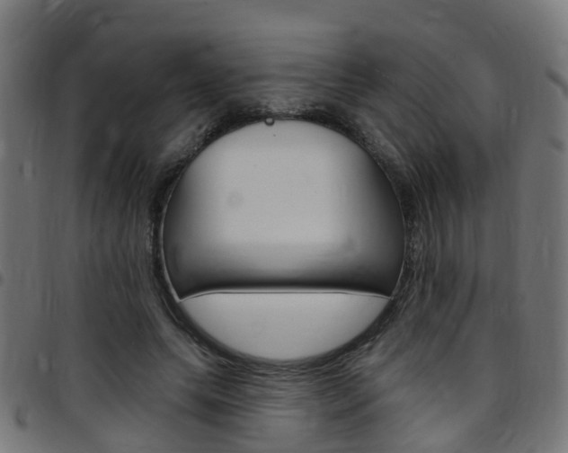 X0000097750639200803070843