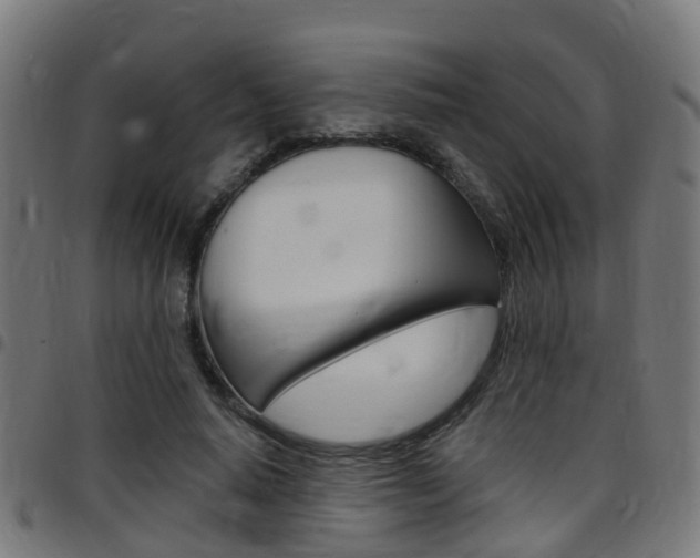 X0000097750640200803070843