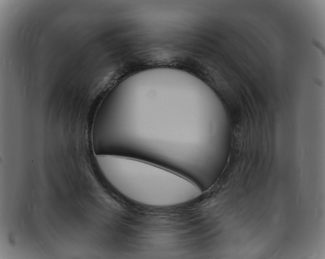 X0000097750642200803070843