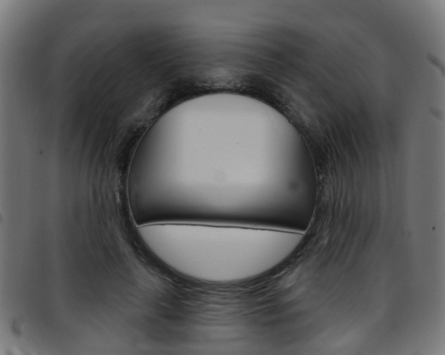 X0000097750643200803070843